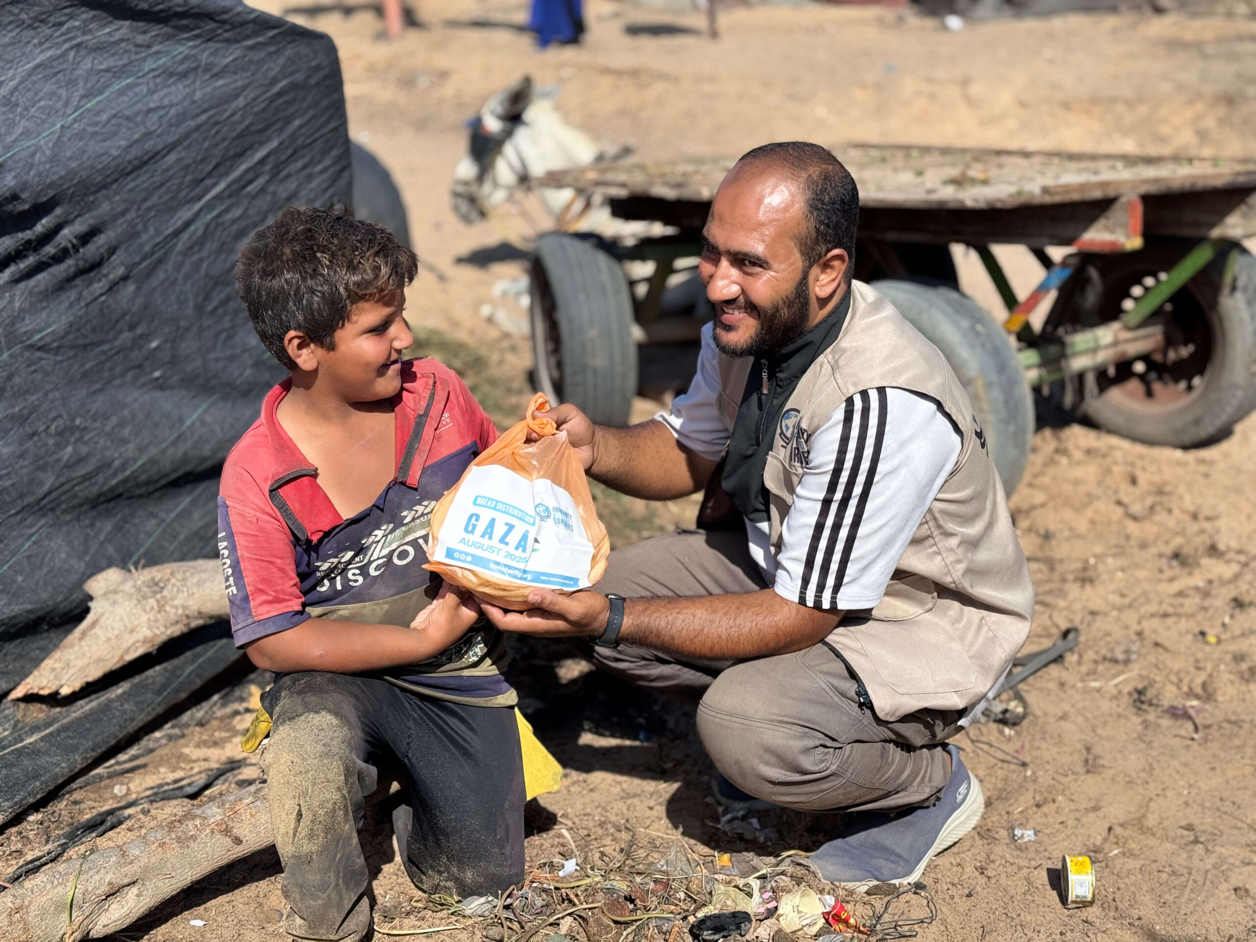 Bread/Flour Distribution